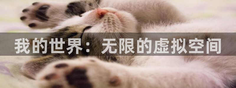 杏悦娱乐登录注册：我的世界：无限的虚拟空间