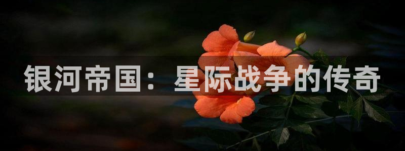 杏悦代理在线注册