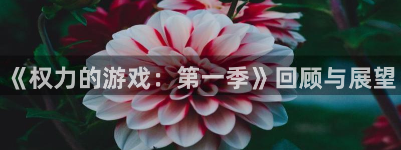 杏悦平台登录地址：《权力的游戏：第一季》回顾与展望