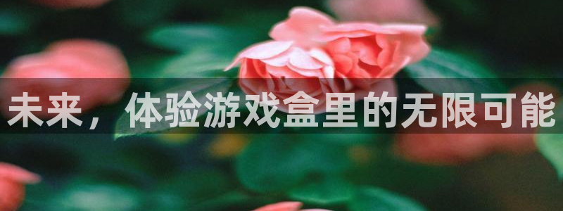 杏悦1登录地址：未来，体验游戏盒里的无限可能
