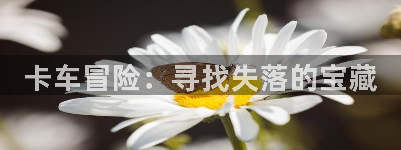 杏悦平台注册入口：卡车冒险：寻找失落的宝藏