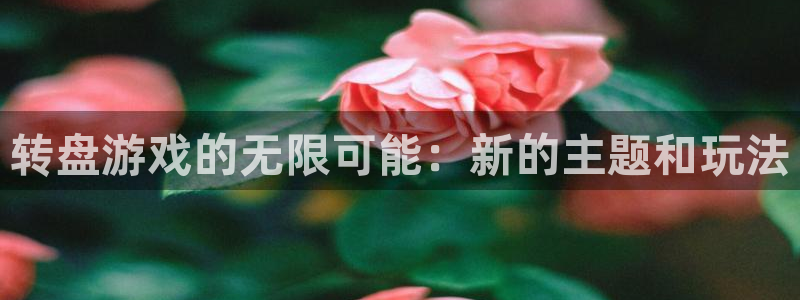 杏悦登录入口：转盘游戏的无限可能：新的主题和玩法