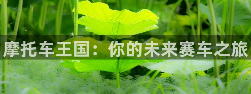 杏悦平台下载：摩托车王国：你的未来赛车之旅