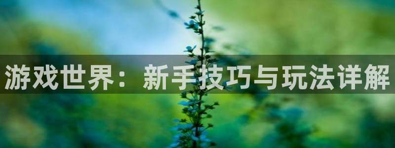 杏悦1登录：游戏世界：新手技巧与玩法详解
