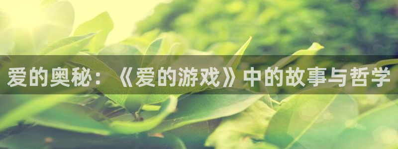 杏悦娱乐总代理：爱的奥秘：《爱的游戏》中的故事与哲学