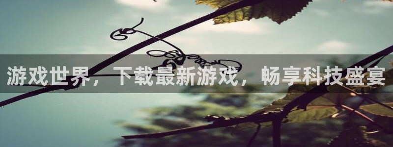 杏悦登录网址是什么