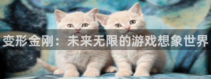 杏悦娱乐注册平台怎么样