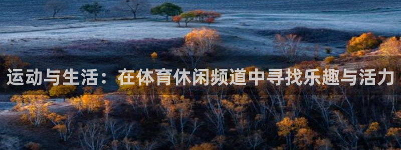 黑白直播官网体育