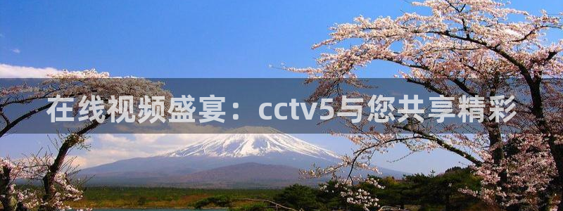 黑白直播nba直播免费