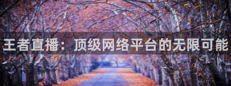 黑白直播看球：王者直播：顶级网络平台的无限可能