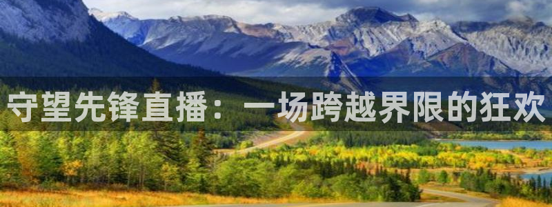 黑白直播免费体育直播：守望先锋直播：一场跨越界限的狂欢