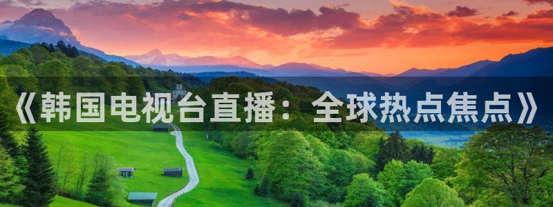 黑白直播免费高清看球神器