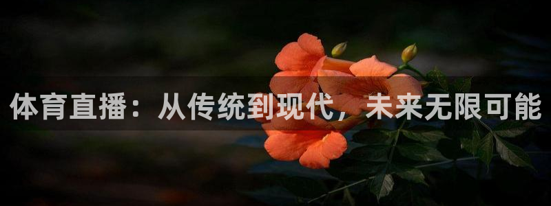 黑白视频足球直播：体育直播：从传统到现代，未来无限可能