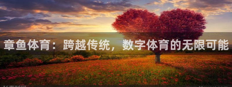 黑白体育英超直播：章鱼体育：跨越传统，数字体育的无限可能